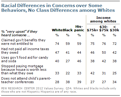 Racial differences in concerns over some behaviors, no class differences among whites