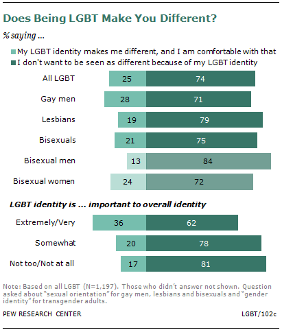 SDT-2013-06-LGBT-5-07