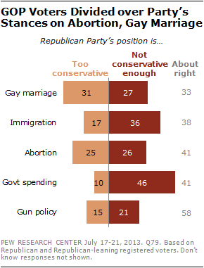 GOP Voters Divided over Party's Stances on Abortion, Gay Marriage