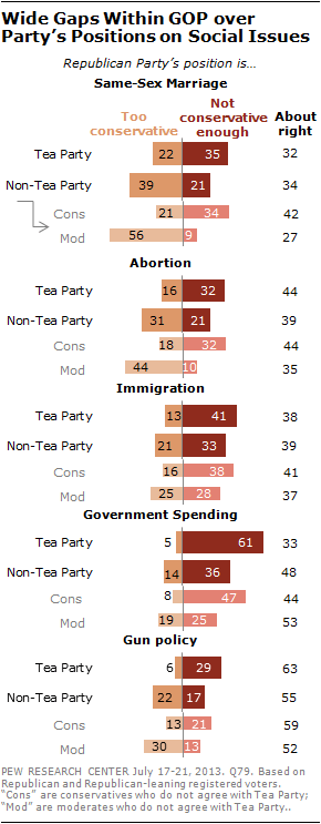 Wide Gaps Within GOP over Party's Positions on Social Issues