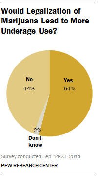 Would Legalization of Marijuana Lead to More Underage Use?