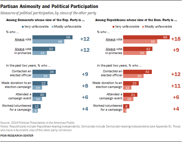 Partisan Animosity and Political Participation
