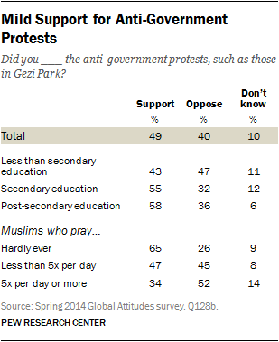 Mild Support for Anti-Government Protests