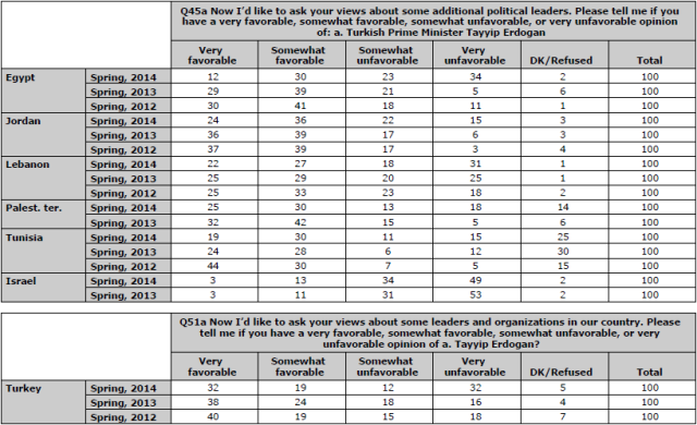 Erdogan Favorability Topline