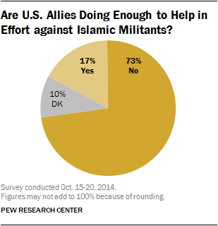 Are U.S. Allies Doing Enough to Help in Effort against Islamic Militants?