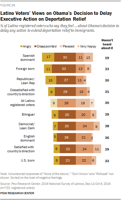 Latino Voters’ Views on Obama’s Decision to Delay Executive Action on Deportation Relief