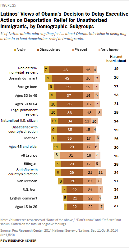 Latinos’ Views of Obama’s Decision to Delay Executive Action on Deportation Relief for Unauthorized Immigrants, by Demographic Subgroups