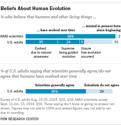 Views of Evolution