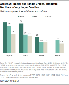 Across All Racial and Ethnic Groups, Dramatic Declines in Very Large Families