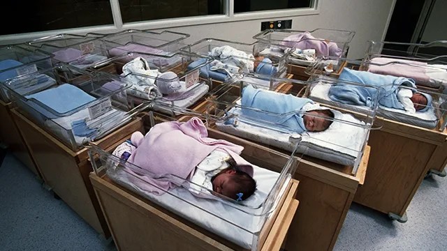 Babies in a nursery