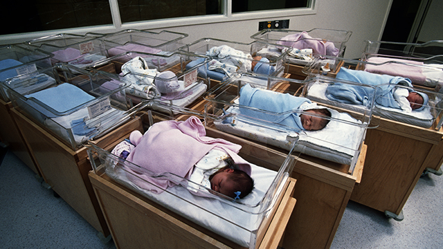 Babies in a nursery