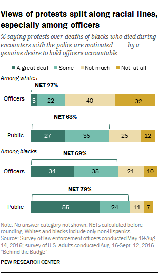Views of protests split along racial lines, among officers