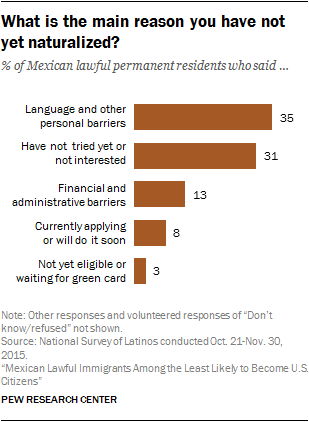 What is the main reason you have not yet naturalized?