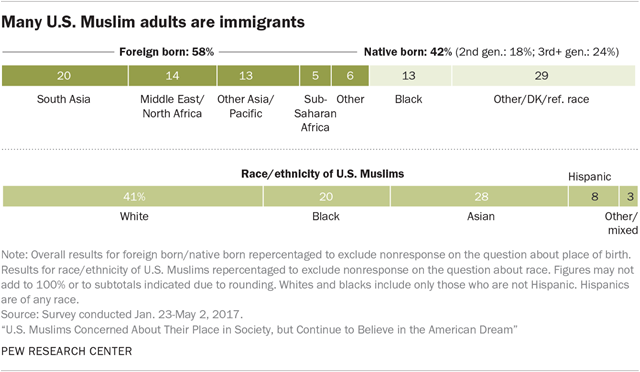 Most U.S. Muslim adults are immigrants