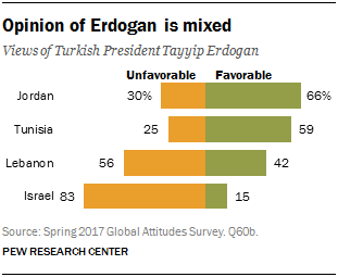 Opinion of Erdogan is mixed