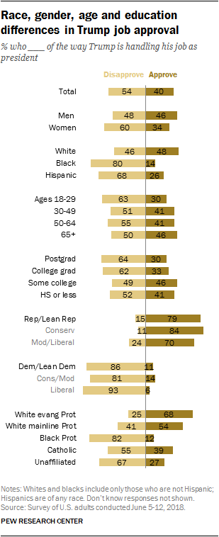 Race, gender, age and education differences in Trump job approval