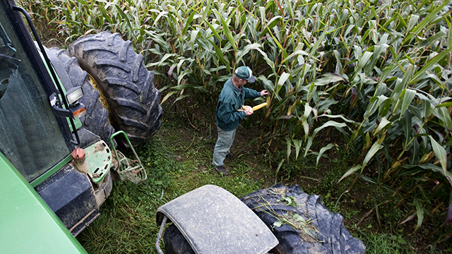 FT_18.11.15_GMFood_feature