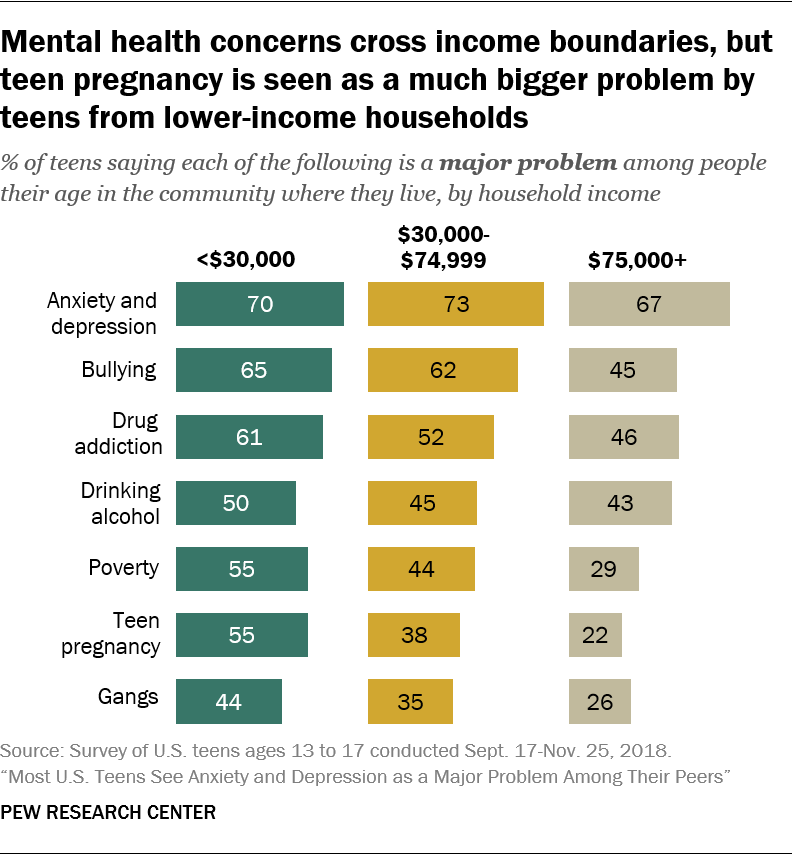 Mental health concerns cross income boundaries, but teen pregnancy is seen as a much bigger problem by teens from lower-income households