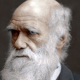 Charles Darwin, British naturalist, 1878.