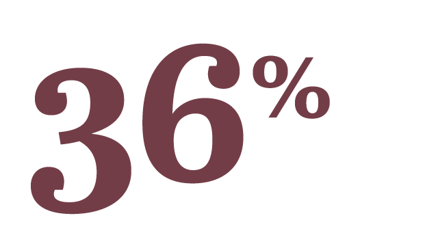 PJ_20.02.03_NewsFromCampaign_crop (1)