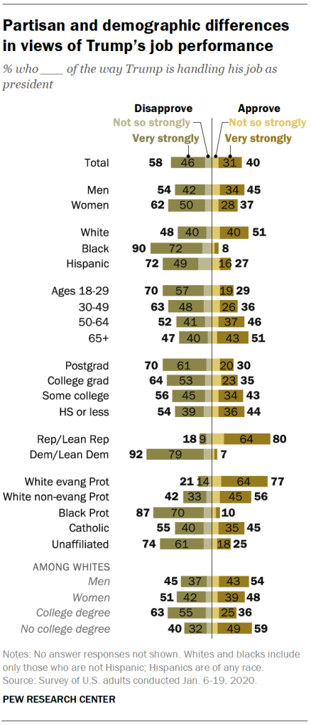 Partisan and demographic differences in views of Trump’s job performance