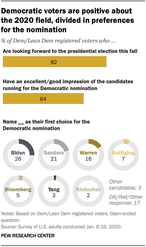 Democratic voters are positive about the 2020 field, divided in preferences for the nomination