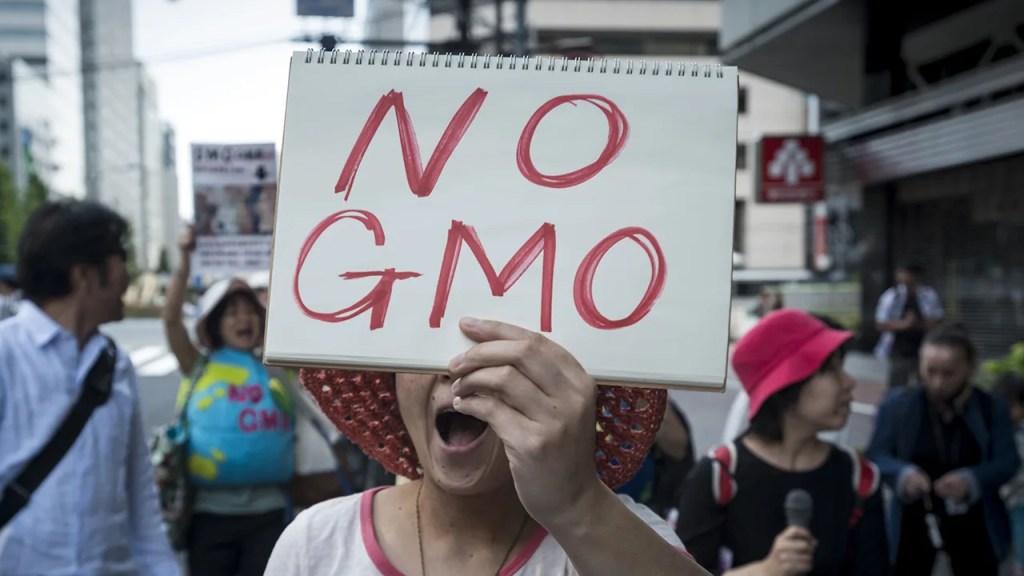 Doubts are widely held about the safety of genetically modified foods across 20 global publics