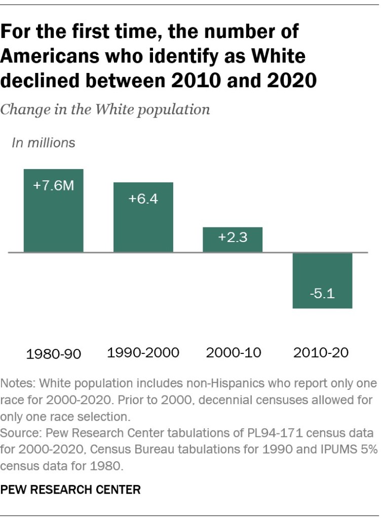 For the first time, the number of Americans who identify as White declined between 2010 and 2020