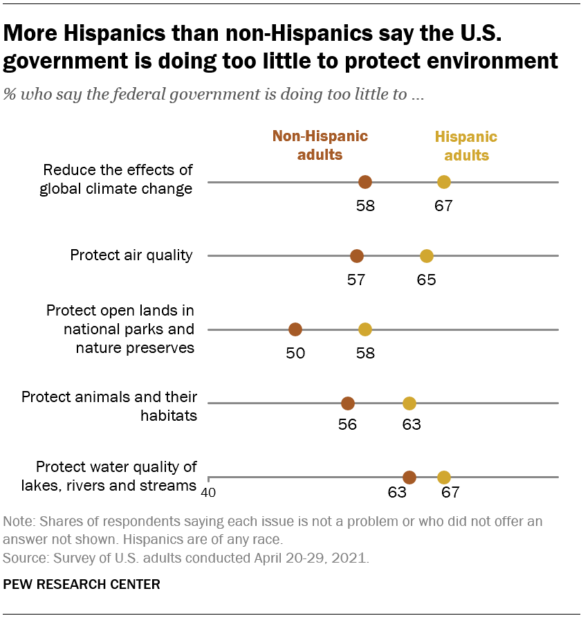 More Hispanics than non-Hispanics say the U.S. government is doing too little to protect environment