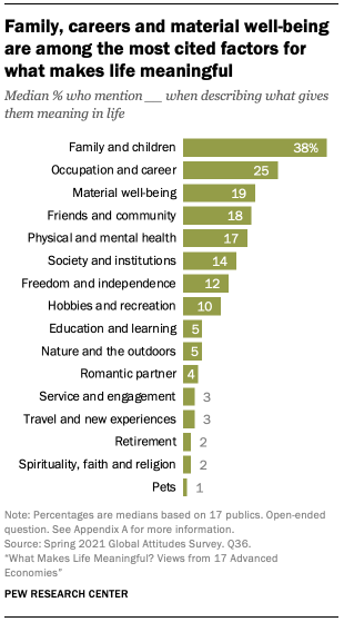 Family, careers and material well-being are among the most cited factors for what makes life meaningful Family, careers and material well-being are among the most cited factors for what makes life meaningful