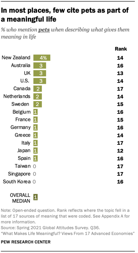 In most places, few cite pets as part of a meaningful life