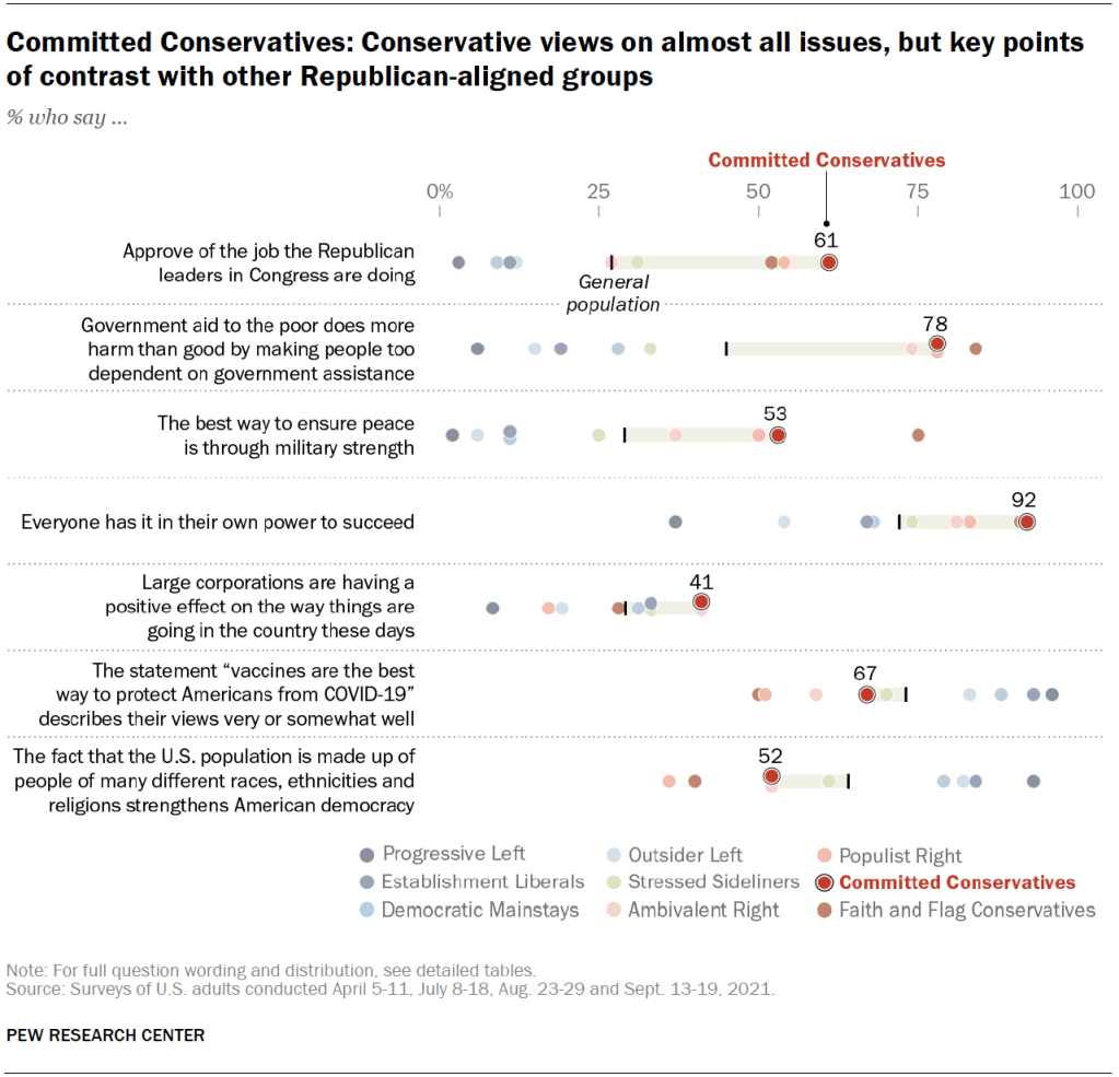 Committed Conservatives: Conservative views on almost all issues, but key points of contrast with other Republican-aligned groups