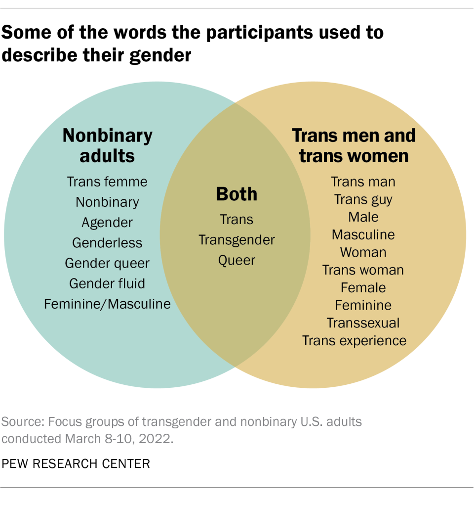 Some of the words the participants used to describe their gender