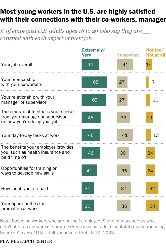 Most young workers in the U.S. are highly satisfied with their connections with their co-workers, manager