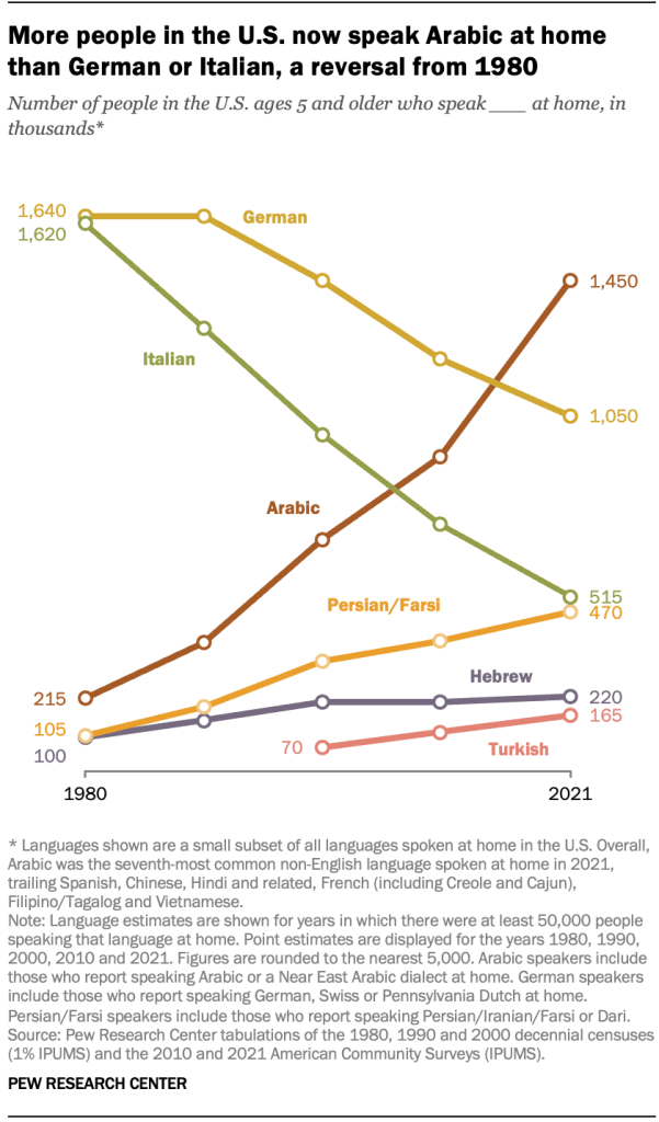 More people in the U.S. now speak Arabic at home than German or Italian, a reversal from 1980