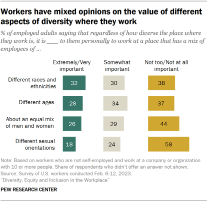 A bar chart that shows workers have mixed opinions on the value of different aspects of diversity where they work.