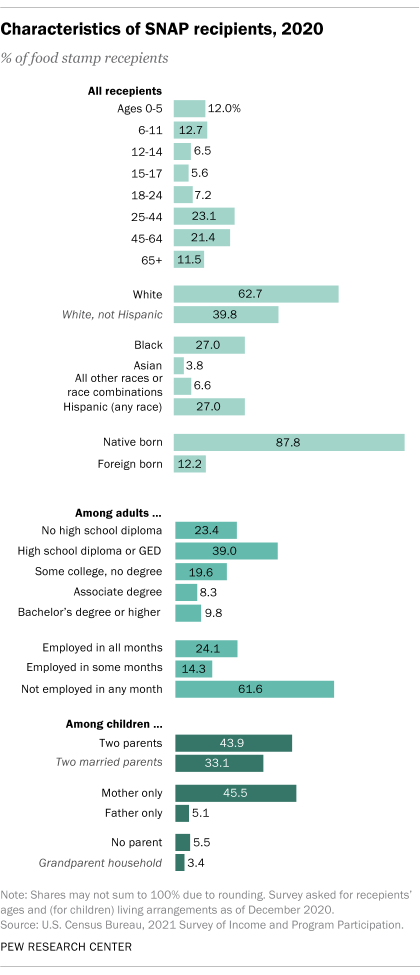 A bar chart showing the characteristics of SNAP recipients in 2020.