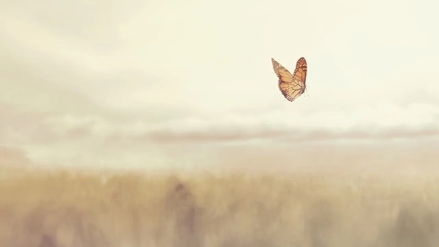 A colored butterfly flying free in the middle of nature.