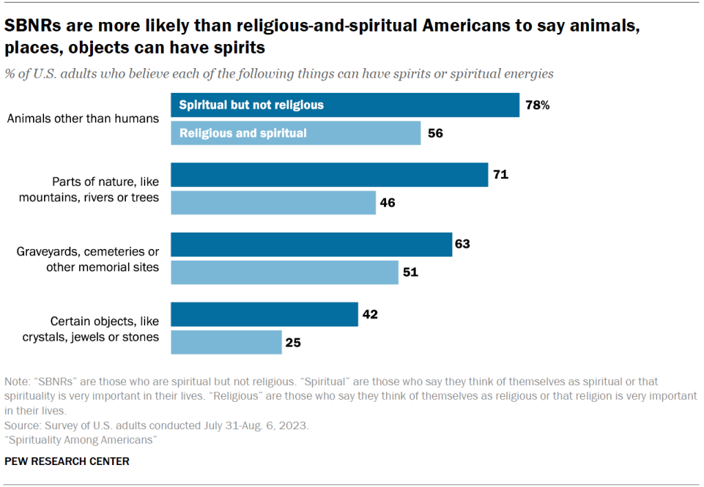 SBNRs are more likely than religious-and-spiritual Americans to say animals, places, objects can have spirits