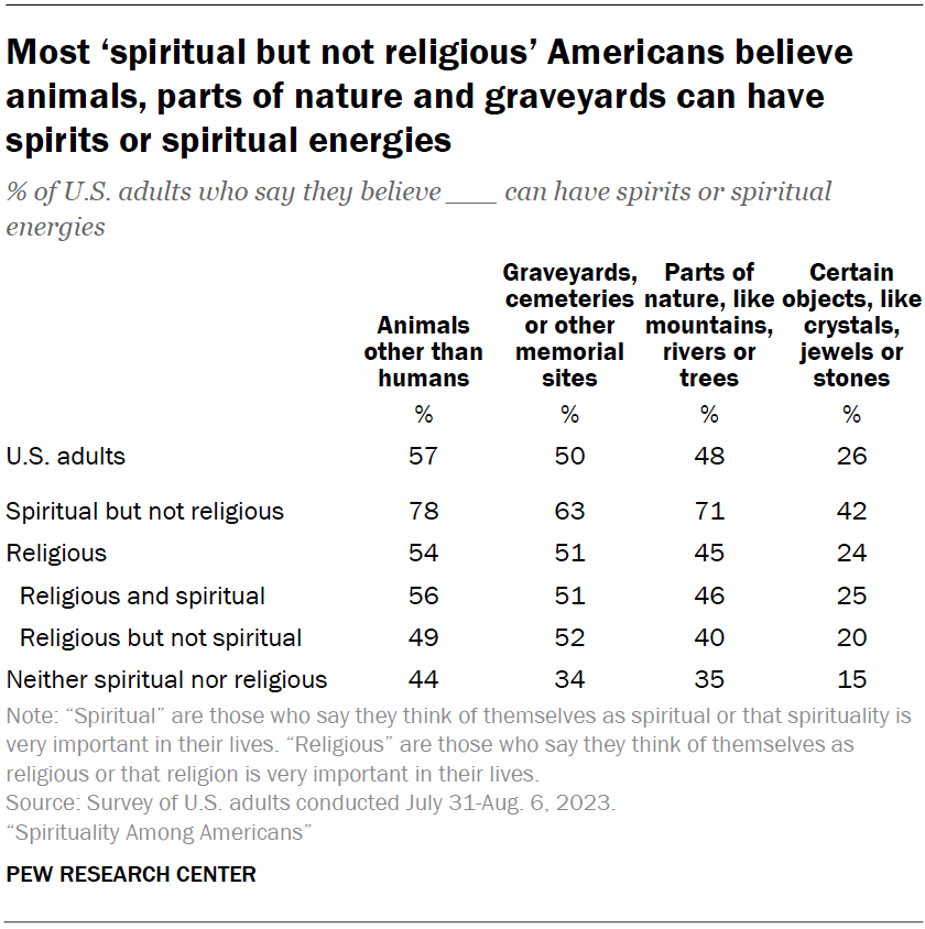 Most ‘spiritual but not religious’ Americans believe animals, parts of nature and graveyards can have spirits or spiritual energies