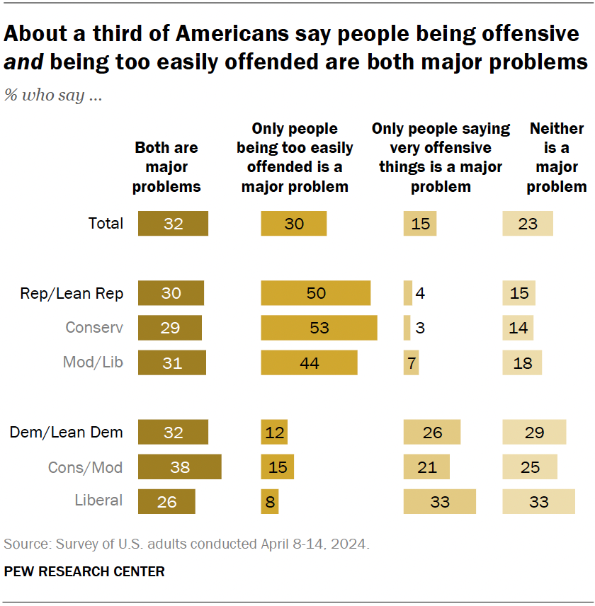 About a third of Americans say people being offensive and being too easily offended are both major problems