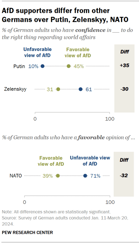 AfD supporters differ from other Germans over Putin, Zelenskyy, NATO