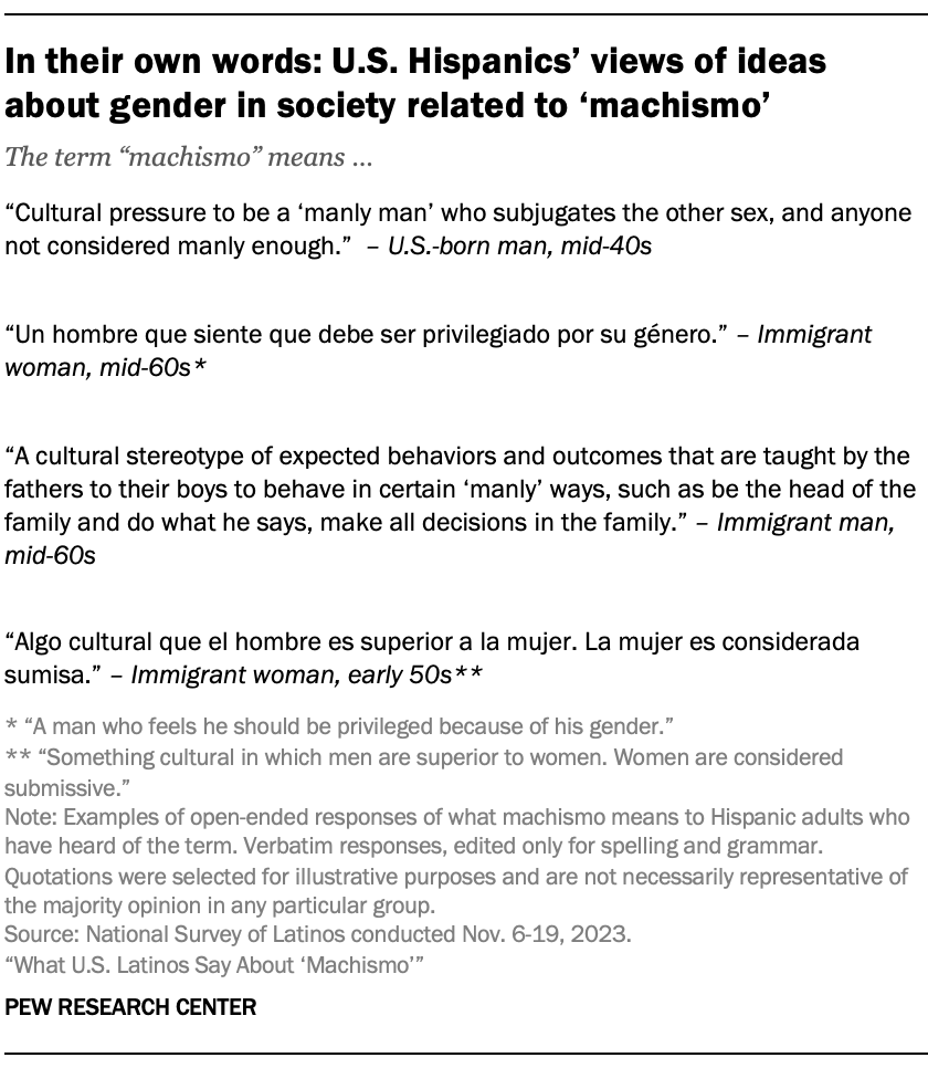In their own words: U.S. Hispanics’ views of ideas about gender in society related to ‘machismo’
