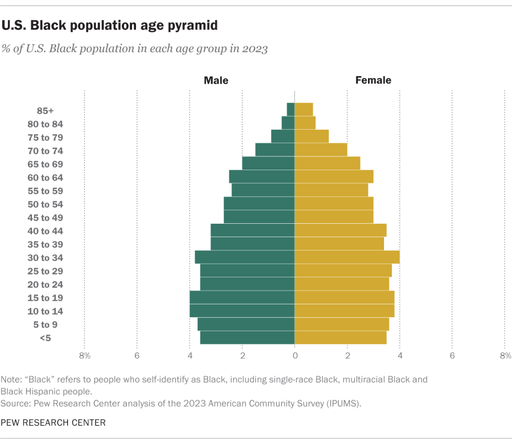 U.S. Black population age pyramid