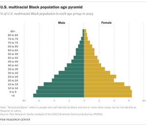 Opposing bar charts showing U.S. multiracial Black population age pyramid