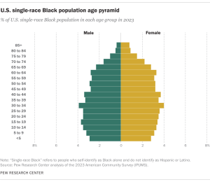 Opposing bar charts showing U.S. single-race Black population age pyramid