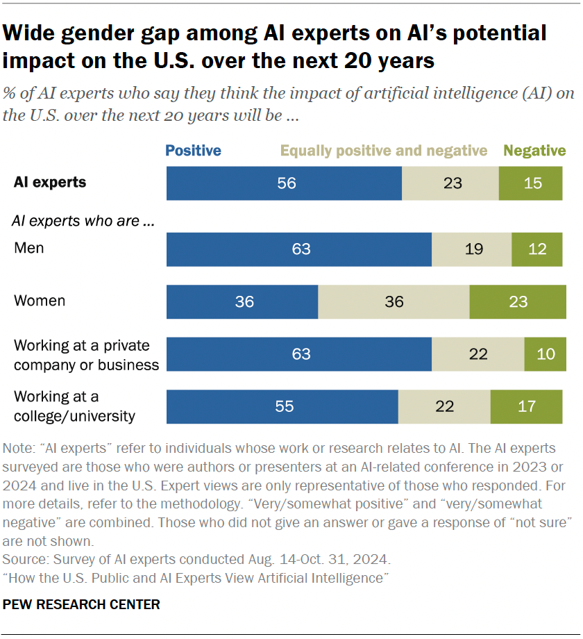 Wide gender gap among AI experts on AI’s potential impact on the U.S. over the next 20 years