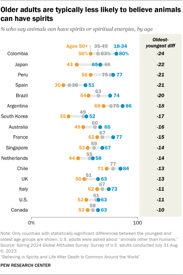 Older adults are typically less likely to believe animals can have spirits