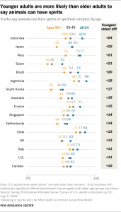 Chart showing younger adults are more likely than older adults to say animals can have spirits