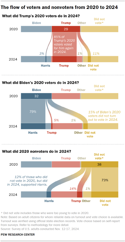 Chart shows The flow of voters and nonvoters from 2020 to 2024